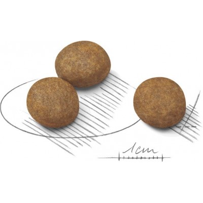 Сува храна за куче Royal Canin Maxi Puppy 15KG