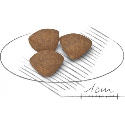 Сува храна за куче Royal Canin Mini Puppy 2KG