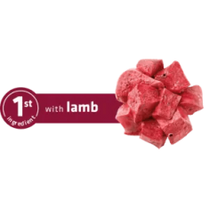 Сува храна за куче Advance Medium Adult Lamb & Rice 12KG