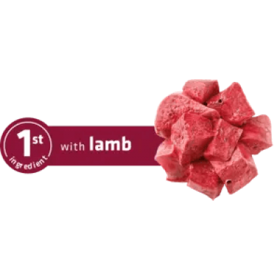 Сува храна за куче Advance Medium Adult Lamb & Rice 12KG