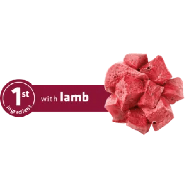 Сува храна за куче Advance Medium Adult Lamb & Rice 12KG