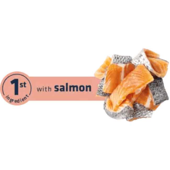Сува храна за куче Advance Mini Adult Sensitive Salmon 7KG