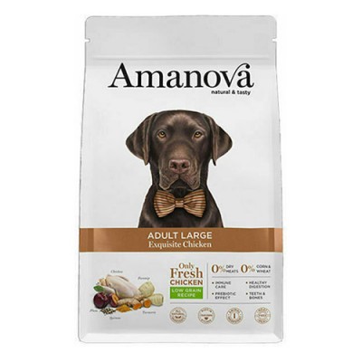 Сува храна за куче Amanova Adult Large Exquisite Chicken 12kg
