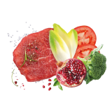 Сува храна за куче Exclusion Medium Adult Beef 12 KG