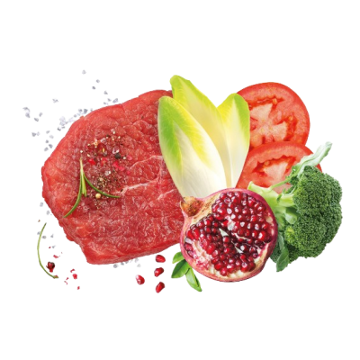 Сува храна за куче Exclusion Large Beef 12 KG