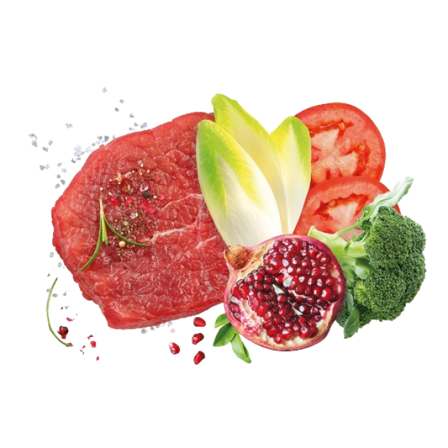 Сува храна за куче Exclusion Large Beef 12 KG