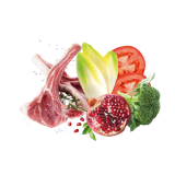 Сува храна за куче Exclusion Large Adult Lamb 12 KG