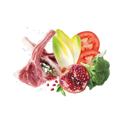 Сува храна за куче Exclusion Large Adult Lamb 12 KG