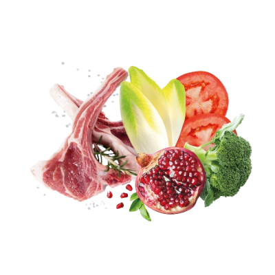 Сува храна за куче Exclusion Large Adult Lamb 12 KG