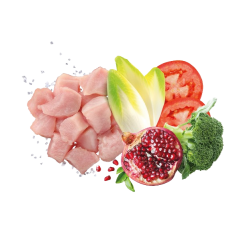Сува храна за куче Exclusion Large Adult Chicken 12KG