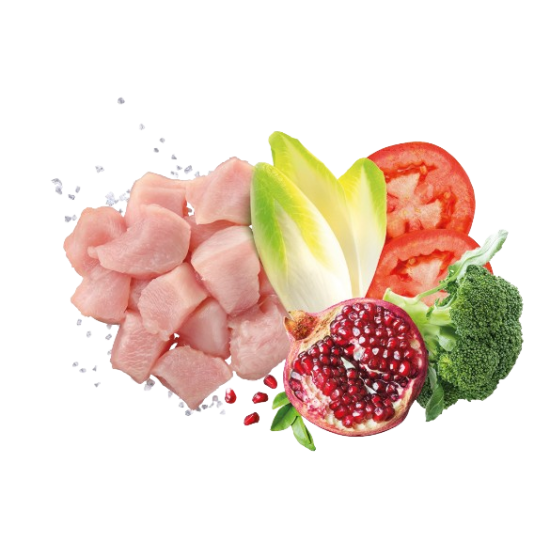 Сува храна за куче Exclusion Medium Adult Chicken 12KG