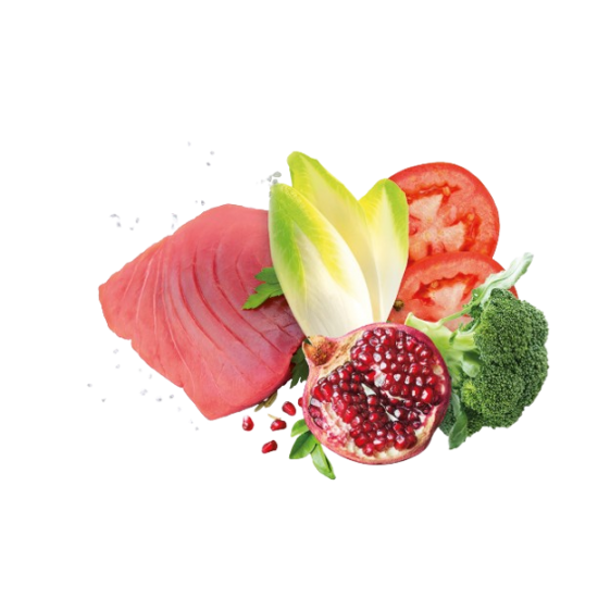 Сува храна за куче Exclusion Medium Adult Tuna 12KG