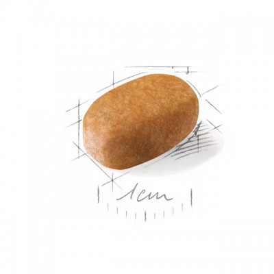 Сува храна за куче Royal Canin Maltese Adult 1.5KG