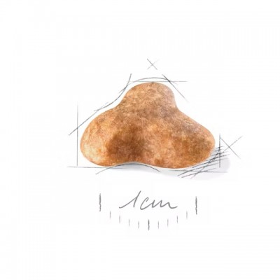 Сува храна за куче Royal Canin Pug  Adult 1.5KG