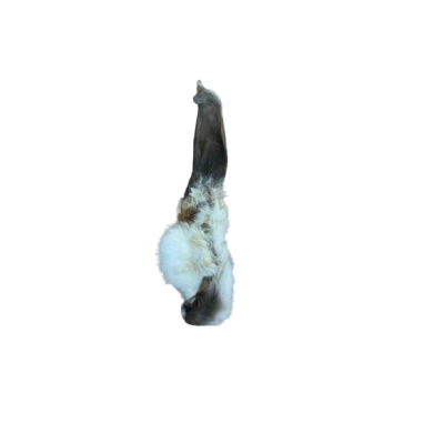 Награда за куче Kiddog Rabbit Ears with Fur 40/1 500 GR