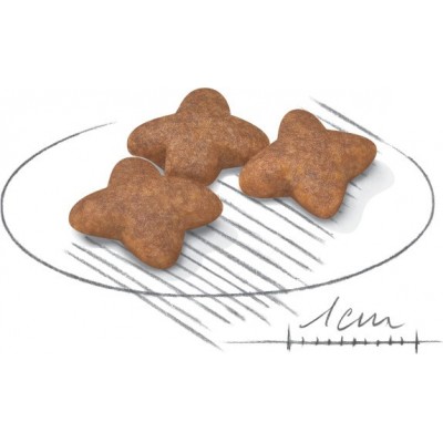 Сува храна за куче Royal Canin Mini Adult 2KG